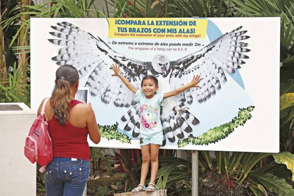 Este año el Parque Municipal Summit realizará varias actividades por su centenario, entre ellas el 'Festiharpía'.