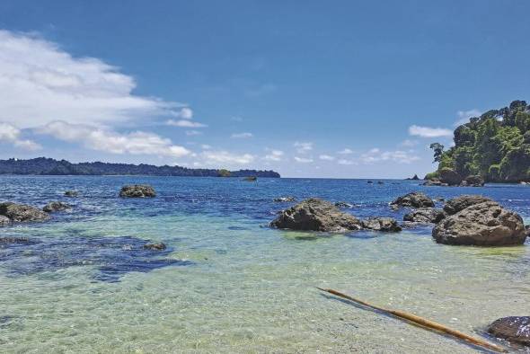 Algunos turistas están dispuestos a pagar más por admirar y proteger un sitio natural. Esos ingresos pueden financiar el monitoreo y mantenimiento de las playas certificadas en el PN Coiba.