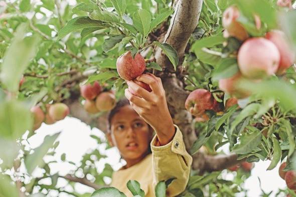 El contacto con la naturaleza permite minimizar la ansiedad y propicia el logro de metas.