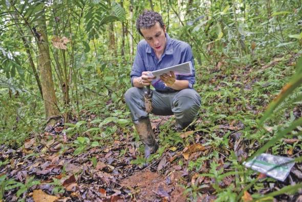 Camilo Zalamea recorre los senderos de la isla de Barro Colorado para recuperar semillas de especies que estudia para intentar entender la interacción entre ellas y los hongos.