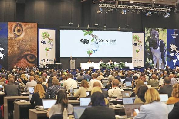 Reunión Cumbre de las Partes (COP19) de la Convención sobre el Comercio Internacional de Especies Amenazadas de Fauna y Flora Silvestres (Cites).