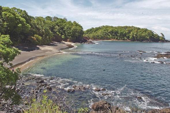 Para Panamá se informa de un total de 1,412 especies de peces en unas 194 familias.