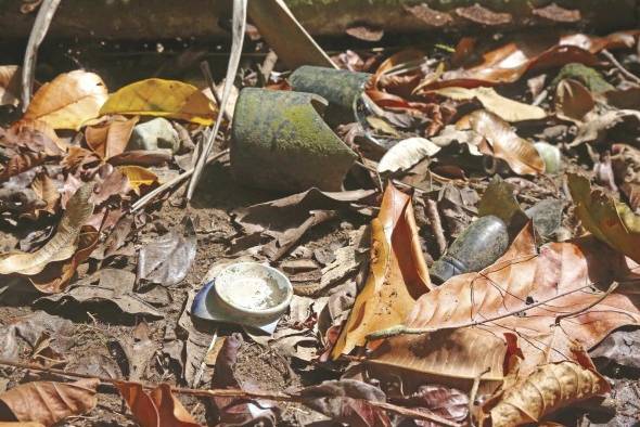 Entre la vegetación se encuentran indicios del poblado de Chagres.