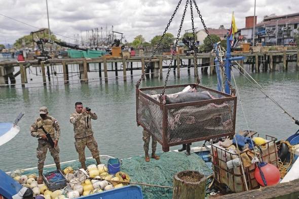 El país cuenta con una herramienta satelital de vanguardia que permite dar seguimiento a más de 500 embarcaciones que ejercen la actividad de pesca en aguas panameñas.