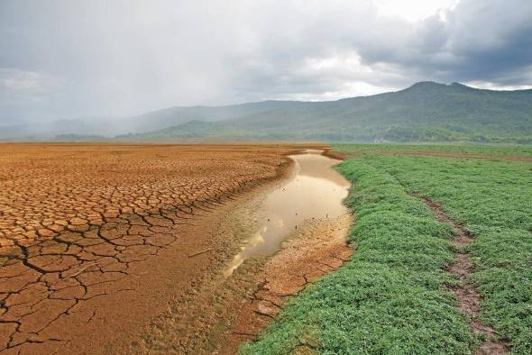 El sistema de mercado en su funcionamiento ha rebasado las capacidades adaptativas y regenerativas del espacio natural.