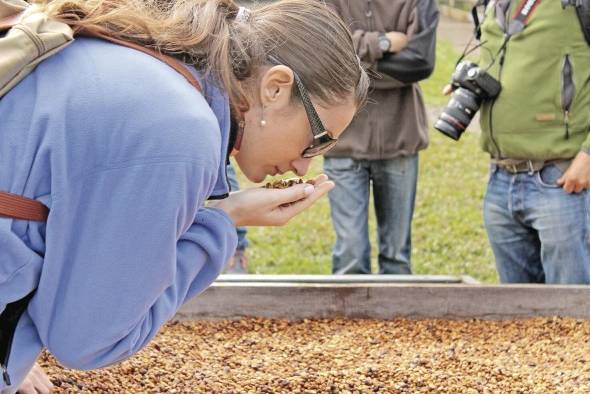 Visita al beneficio de café