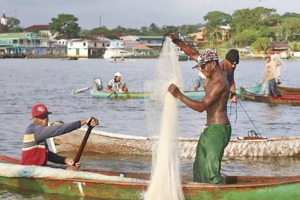 Los inventarios de la manifestaciones culturales inmateriales afrodescendientes para este proyecto deberán realizarse con la participación más amplia posible de las comunidades.