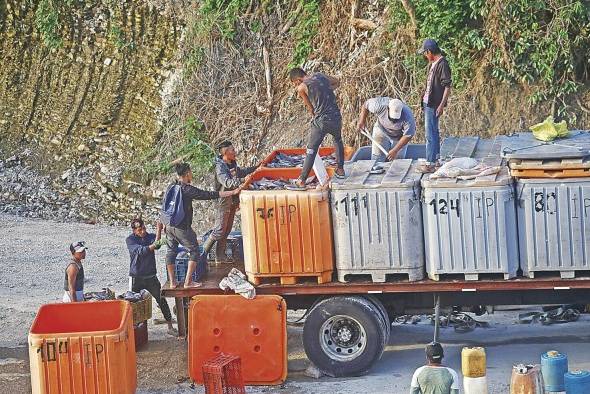 Pescadores cosechan tilapias en el puerto Bayano.