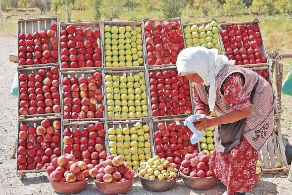 De acuerdo con el informe Sofi, la inseguridad alimentaria afecta más a las personas que viven en las zonas rurales.