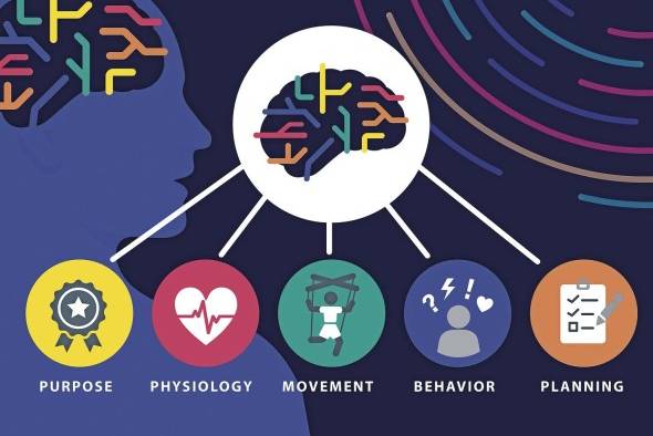 Los investigadores encontraron la región del cerebro que conecta cuerpo y mente.