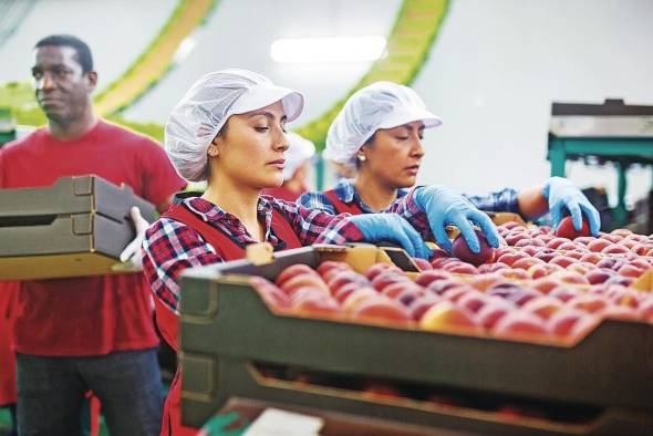 Se atribuye el vigor económico de la población latina a virtudes como la resiliencia, la ética de “trabajo duro”, la autosuficiencia y el optimismo