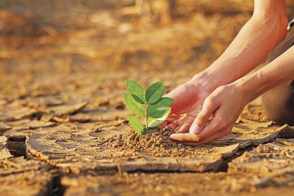 La revisión de las conexiones hidrológicas permitirá hacer frente a los cambios en los patrones de precipitación y el aumento de la temperatura causados por el cambio climático.