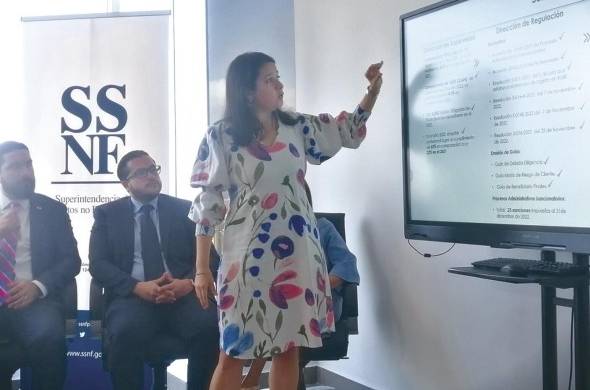 La superintendente Dayra Carrizo Castillero, durante el conversatorio con periodistas.