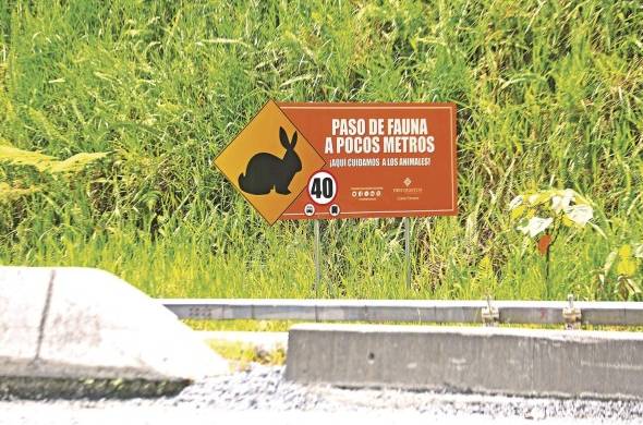 Letreros para advertir sobre el paso de animales.