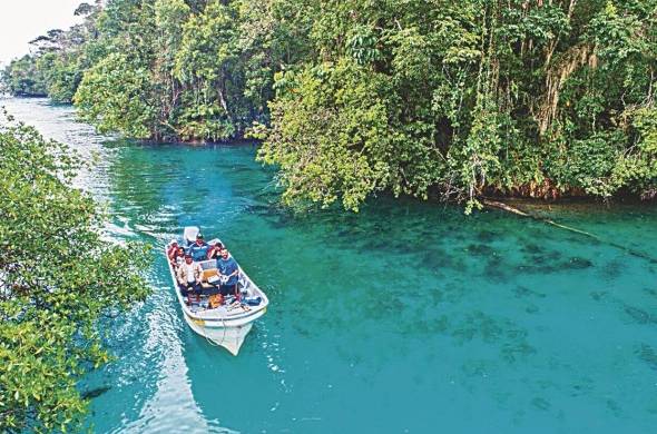 Los turistas deben ser plenamente responsables de los desechos que generen.