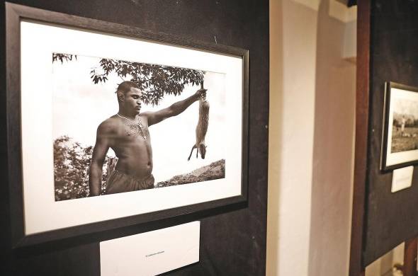 El título de la exposición se basa en el supuesto de imaginarnos la vida de los primeros africanos huidos y resguardados en las selvas istmeñas en las poblaciones.