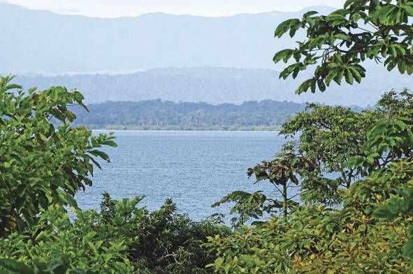 Es uno de los mejores lugares para hacer snorkeling y buceo con tanque en todo Bocas del Toro.