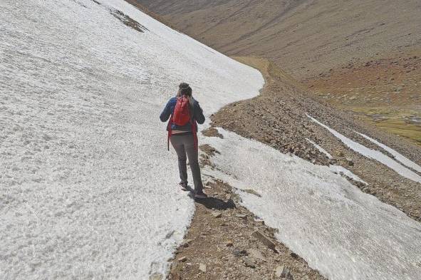 El valle de Limarí es conocido como el Norte verde de Chile puesto que en él se encuentran la mitad de las zonas regadas de la región de Coquimbo.