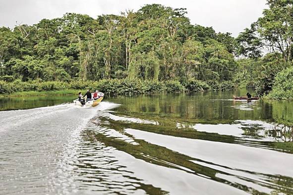 Los parques naturales son importantes para la educación ambiental y la investigación científica.