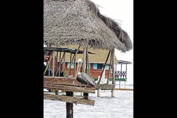 Visitar Bambuda Lodge ofrece tantas opcionesque es difícil querer salir de isla Solarte.