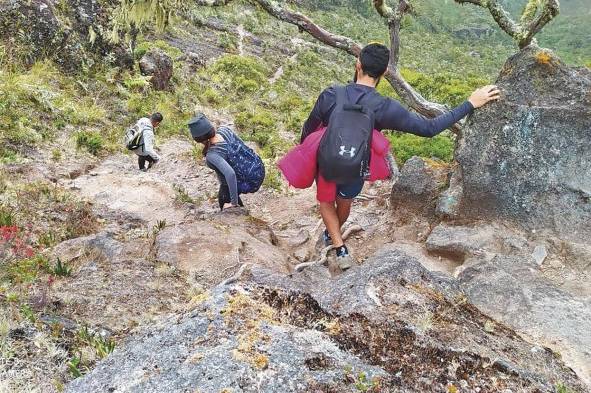 Durante las caminatas los turistas disfrutan de una gran biodiversidad.