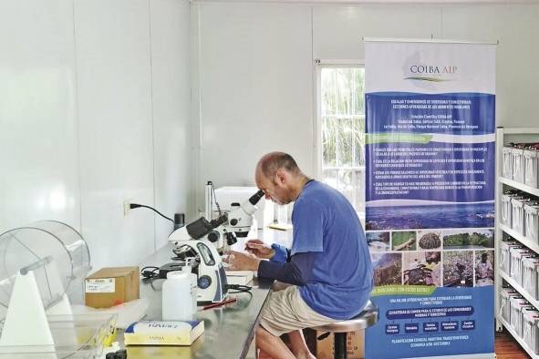 Ernesto Brugnoli, uno de los científicos de Coiba AIP, realiza su trabajo en el laboratorio del Parque Nacional Coiba