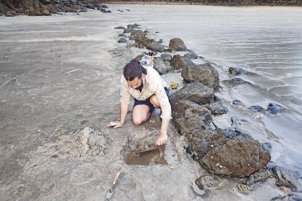 Se visitaron 10 corrales en Coiba