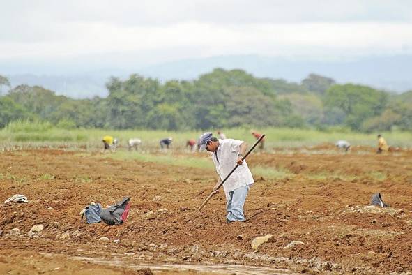 El Niño se asocia a un incremento en la temperatura del aire y disminución de la humedad relativa.