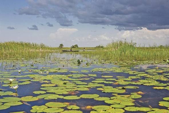 Actualmente Panamá cuenta con 39 humedales continentales y costeros, de los cuales solo cinco son considerados sitios Ramsar