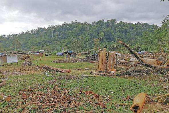 Toma de tierras en Bocas del Toro, un problema de vieja data que espera respuestas de las autoridades