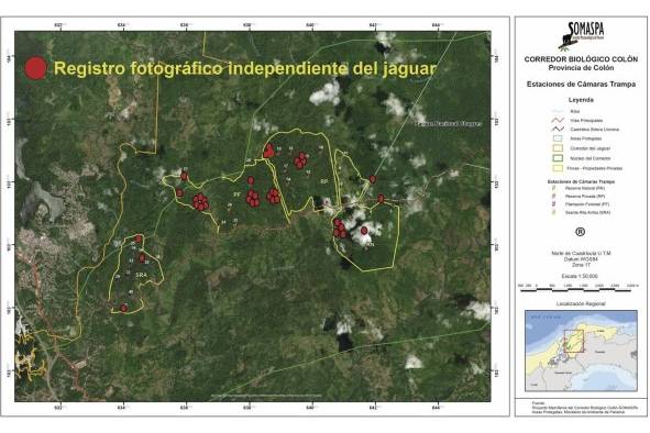 Mamíferos aportan datos sobre la historia natural y la conectividad