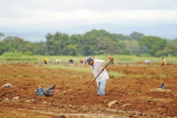 Los principales destinos de los bienes exportables de Panamá son: China, Japón, Corea del sur, Alemania, India, Bulgaria, Estados Unidos, Países Bajos, España, Canadá.