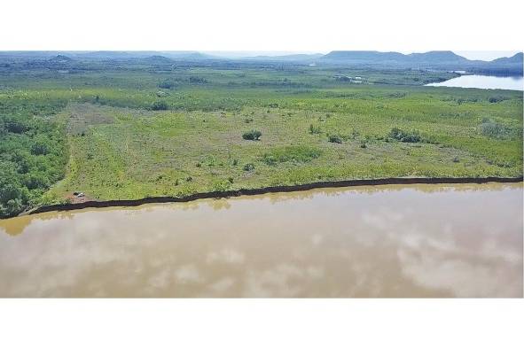 Lugar donde se hará el puerto Barú.