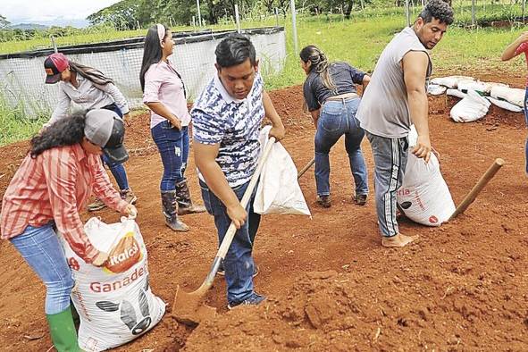 Universitarios en las labores del campo.