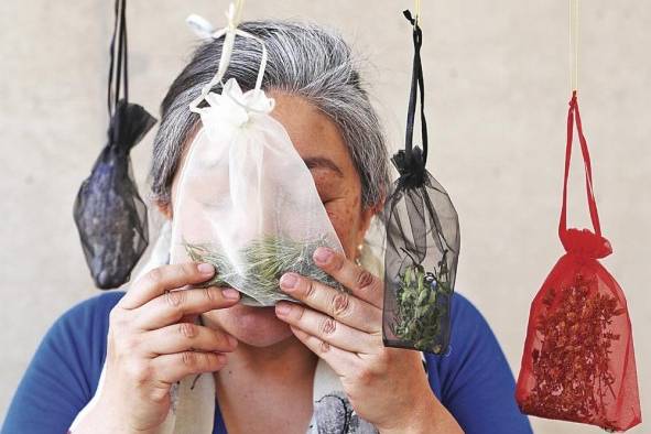 La exposición ofrece la oportunidad de percibir aromas de lavanda y romero