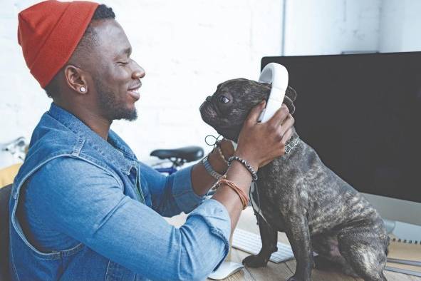 Ocho de cada diez personas afirman que a sus mascotas les gusta la música.