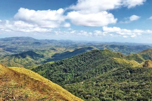 Los bosques mesoamericanos cubren solo el 0,5% de la superficie terrestre.