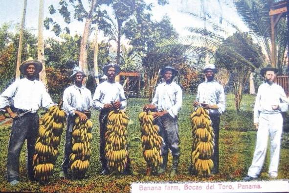 Bananas Farm, Postal coloreada. I. L Maduro Jr.