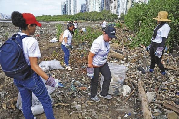 La acumulación de plástico en los océanos es un problema ambiental grave y creciente que afecta los ecosistemas marinos.