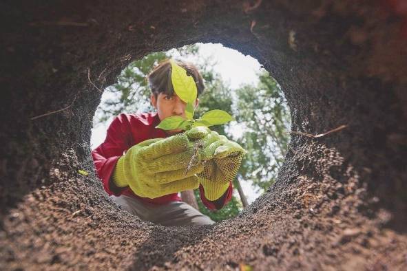 'Semilla del presente: planteando una promesa para un mundo más verde', primer lugar de la categoría niños y adolescentes en la ciencia