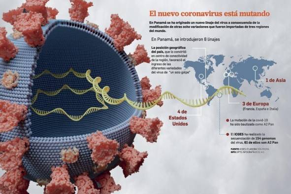 Icges: 'Mutación del A2 PAN tiene mayor capacidad de contagio'