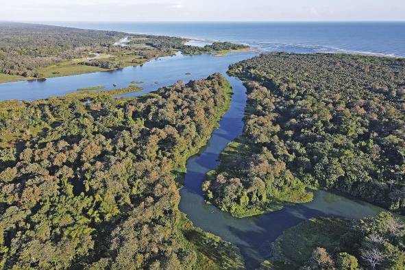 Vista aérea del humedal San San Pond Sak