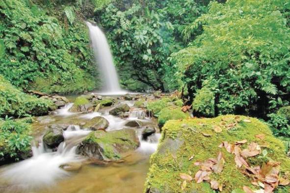 Parque Nacional Soberanía, destino turístico panameño.