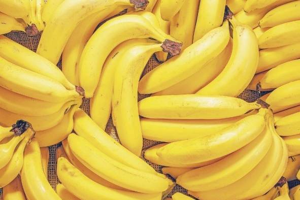 El banano fue el segundo producto más exportado hasta el primer semestre de 2023.