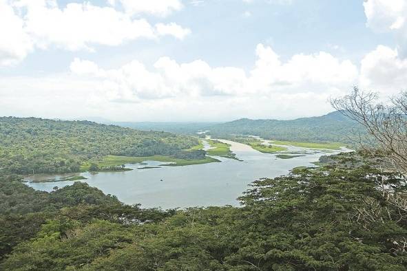 La cuenca alta del Canal de Panamá la forman los ríos Boquerón, Pequení y el Chagres, este último formado por otros afluentes como el río Piedras y el río Chico.