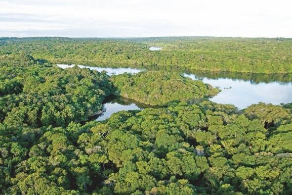 La Amazonia, una de las áreas más biodiversas de América Latina y el Caribe.