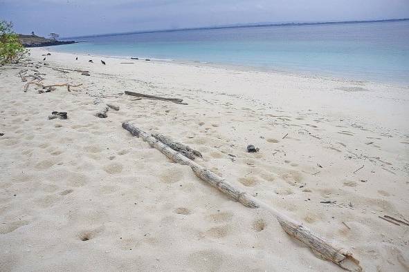 Hace poco se informó que hay un total de 774,24 km2 de arrecifes (754 km2 en el Caribe) y 170,000 hectáreas de manglares (164,780 ha en el Pacífico).