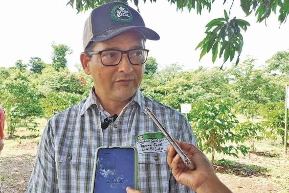 Gustavo González, productor de café de robusta en Capira.