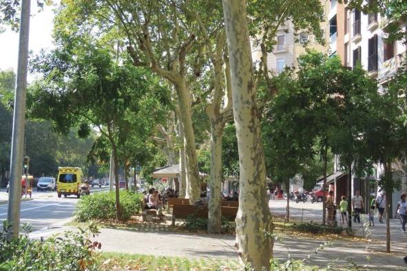 Ejemplo de arborización inteligente en Barcelona. Se utilizan varios niveles de arborización en una misma zona para aumentar la superficie sombreada.