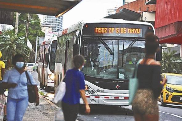 Los modelos Gran Viale de la flota de Tmpsa tienen 13 años de estar al servicio de la población.